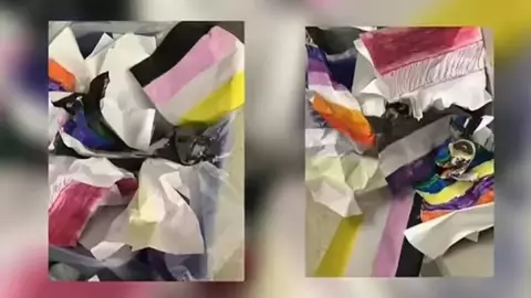 Despiden a Maestra pansexual y conversación en el aula