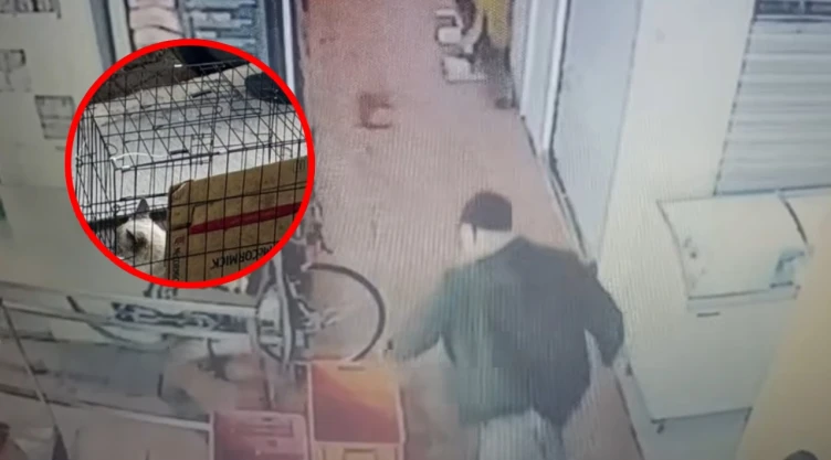 Graban a sujeto pateando a gato en mercado en Ecatepec.