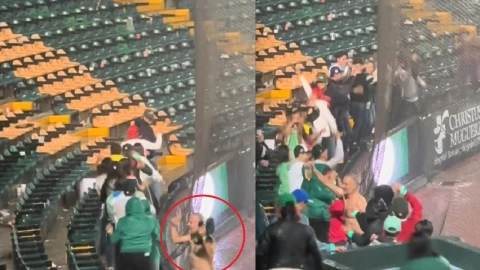 pericos de puebla lmb.jpg