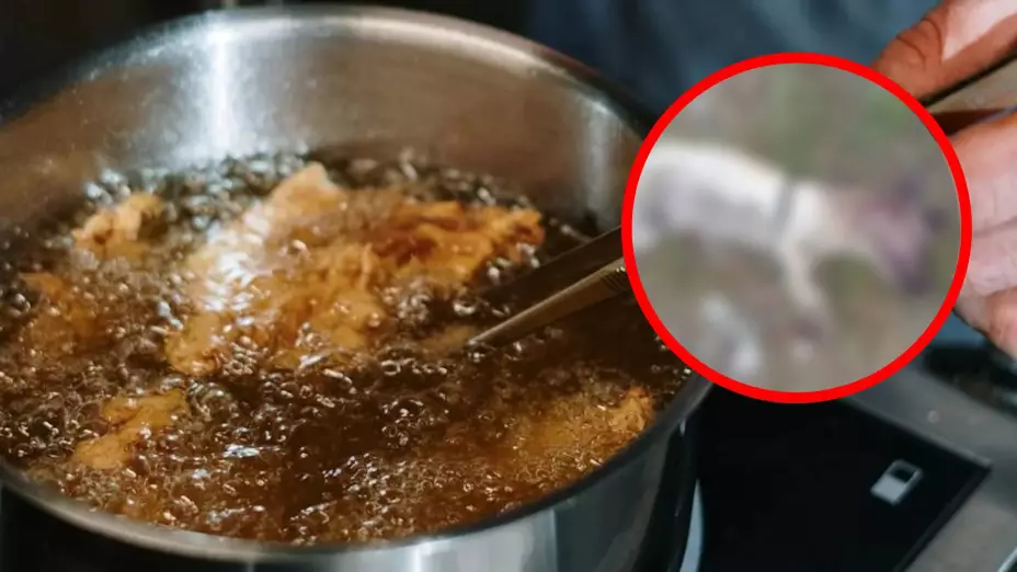 Taquero lanza aceite hirviendo a perrito y lo mata; ocurrió en Nuevo León.jpg