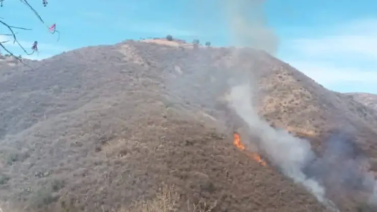 Se registra incendio forestal activo en Melladito, Guanajuato