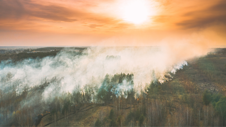 Humo de incendios