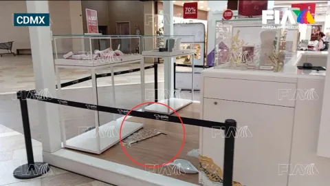 Asalto a joyería de Tlalpan: Así quedó la escena del crimen tras el robo a Pandora