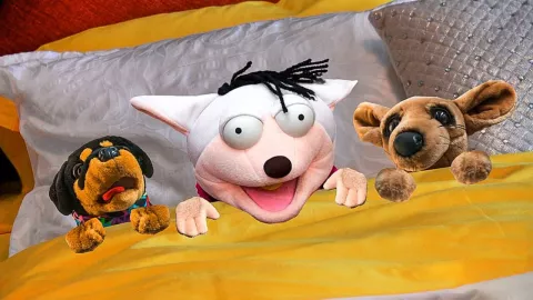 Anuncian nueva película de 31 Minutos