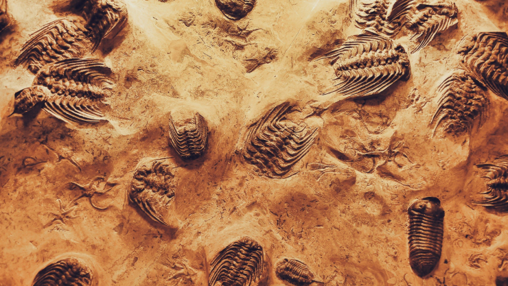 Hipótesis silúrica: ¿existió una civilización avanzada antes que los humanos?