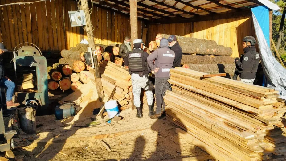 Realizan Sedema y Profepa operativo en aserradero del Ajusco.jpg