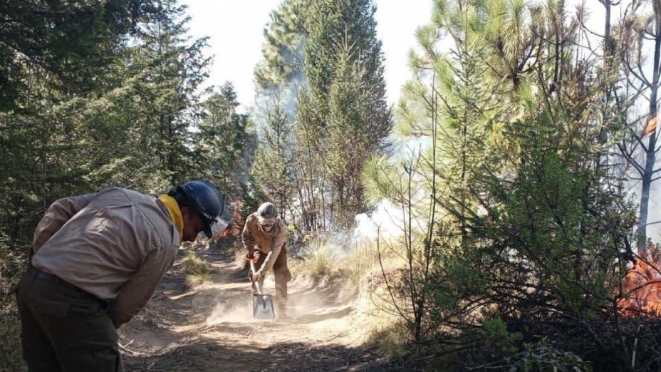 Se registró un incendio en La Malinche