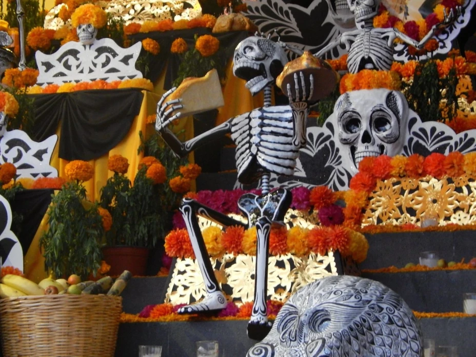 Sugerencias para el otoño