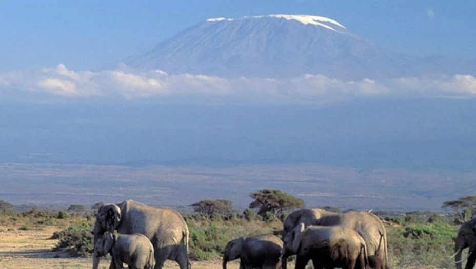 ONU Centro de Noticias