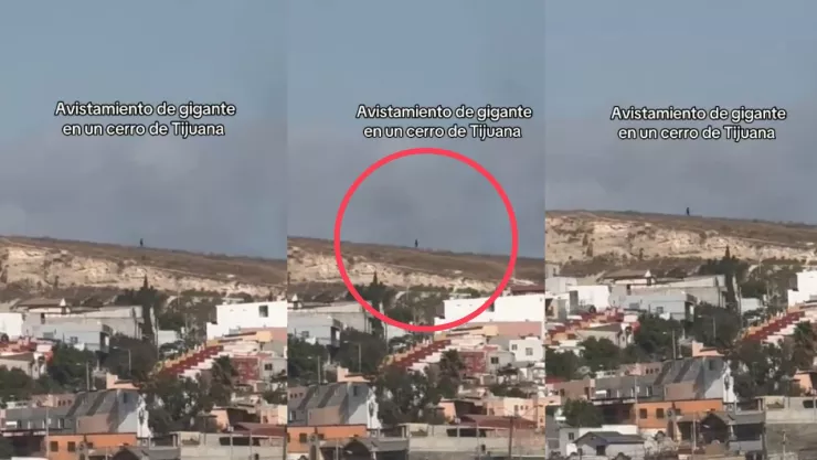 Captan a un gigante en un cerro de Tijuana en 2025 ¿En dónde se vio? (VIDEO)