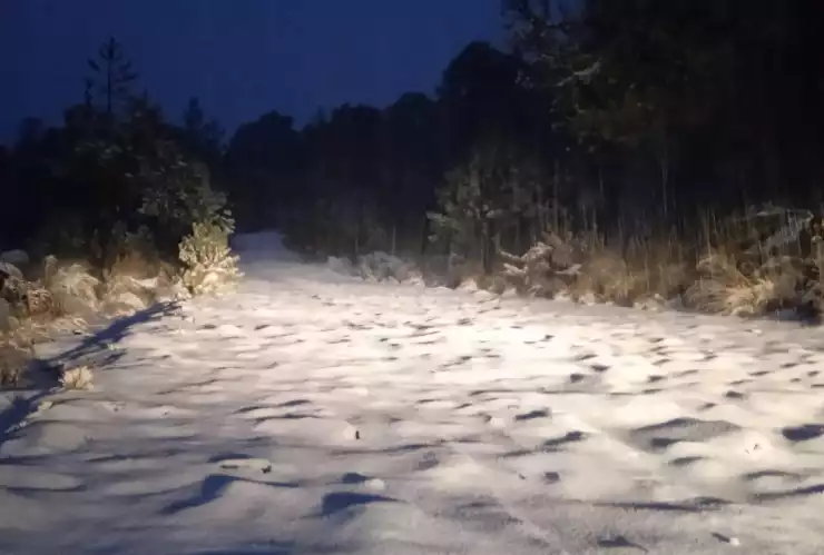 Primera nevada en Cofre de Perote