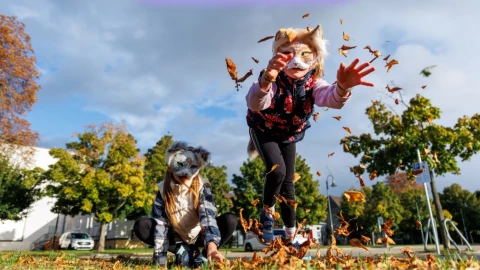 Cuál es la diferencia entre therian y furry.