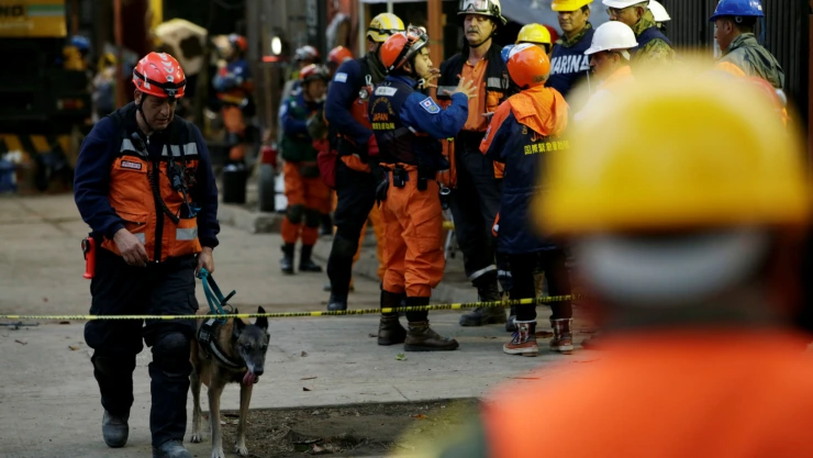 Después del sismo de 7.1 en México, que ha causado al menos 319 muertes hasta el momento, colapsaron más 40 edificios en la Ciudad de México.