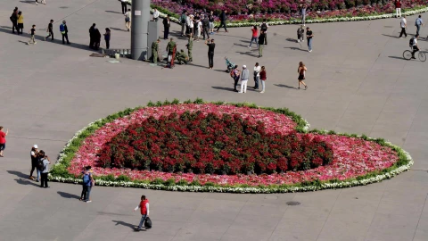 Zócalo de la Ciudad de México con flores