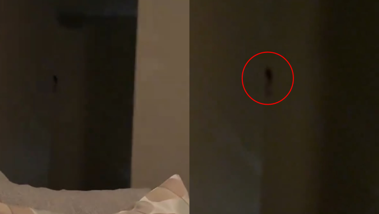 Fantasma en departamento