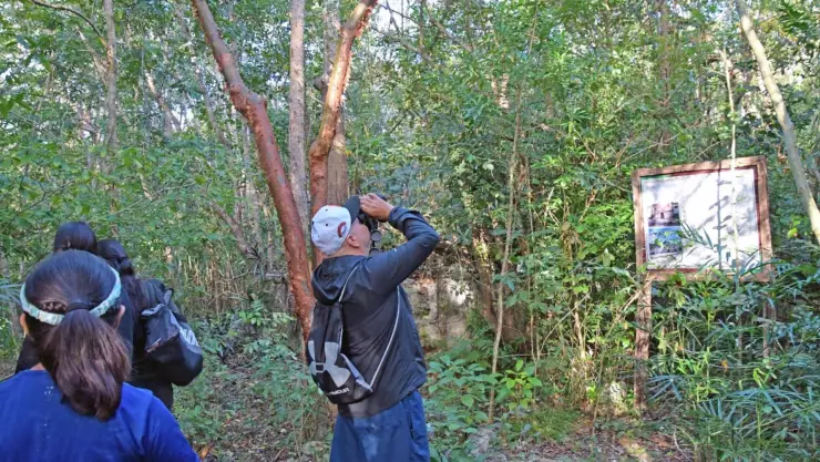 Logran avistar 16 especies diferentes durante la “Observación de Aves con la Comunidad” en Cozumel.jpg