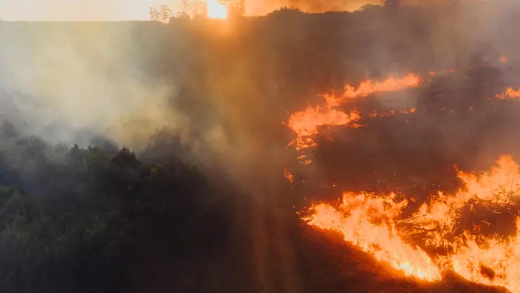Incendio forestal en Ojos Negros moviliza a bomberos en Ensenada