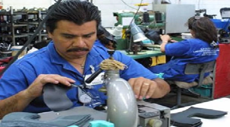 Encuesta OCDE-CONEVAL
