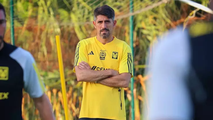 Veljko Paunović, Tigres