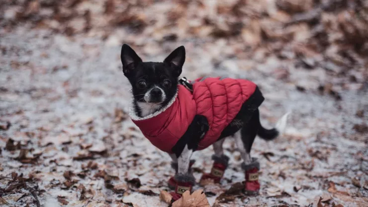 frente frío 3 en México para este 26 de septiembre