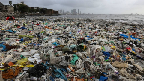 Basura 2