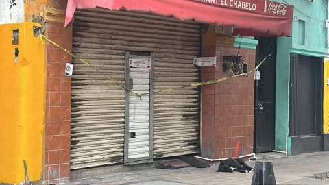 Hachiko culichi.jpeg