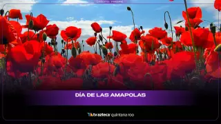 DÍA DE LAS AMAPOLAS