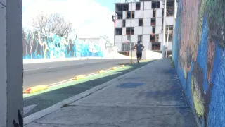 calle ronco pollo.jpg