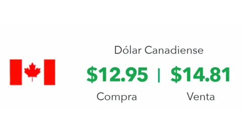 Precio del dólar en México hoy 13 de enero 2025; tipo de cambio