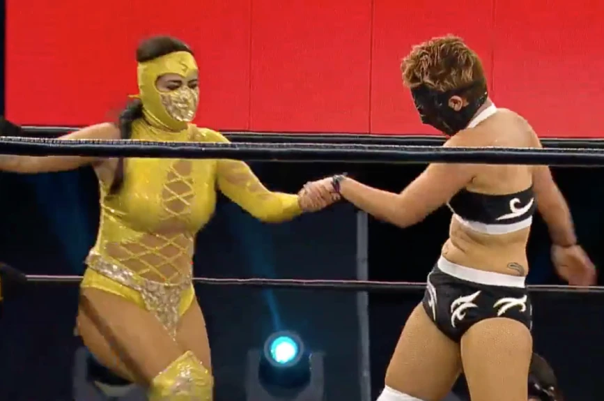 Lucha Fighter