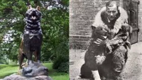Balto es el perro de trineo que tiene una estatua en el Central de Park de Nueva York