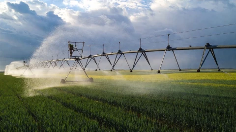 Programa compensatorio de riego