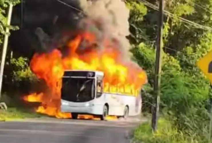 Incendio de autobús en la carretera Atoyac-Paso del Macho