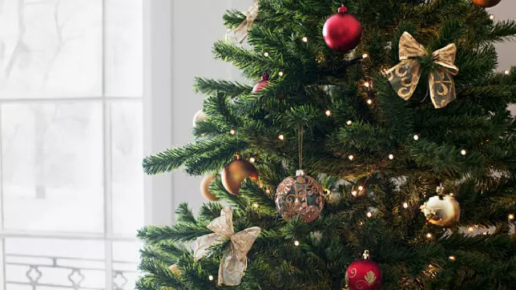 Encendido del árbol