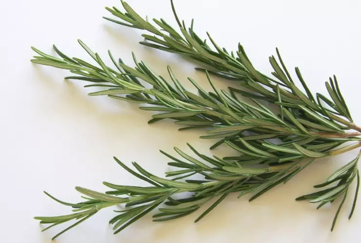 ¿Cómo se utiliza el romero para el crecimiento del cabello?