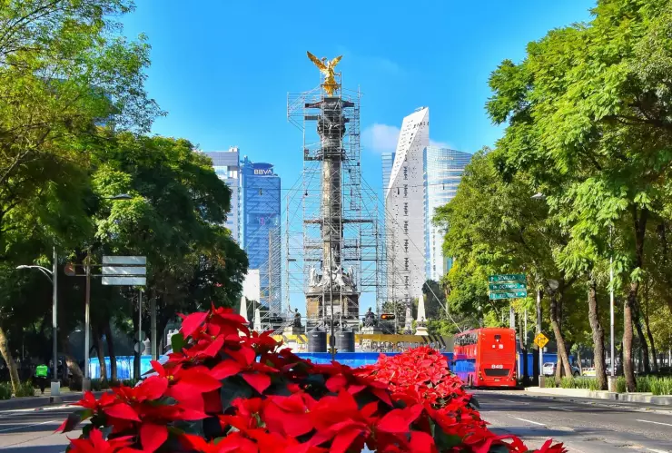 Navidad CDMX 2024.jpg