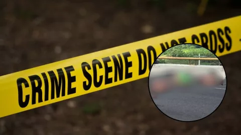 foto - 2025-08-04T173519.029.jpg