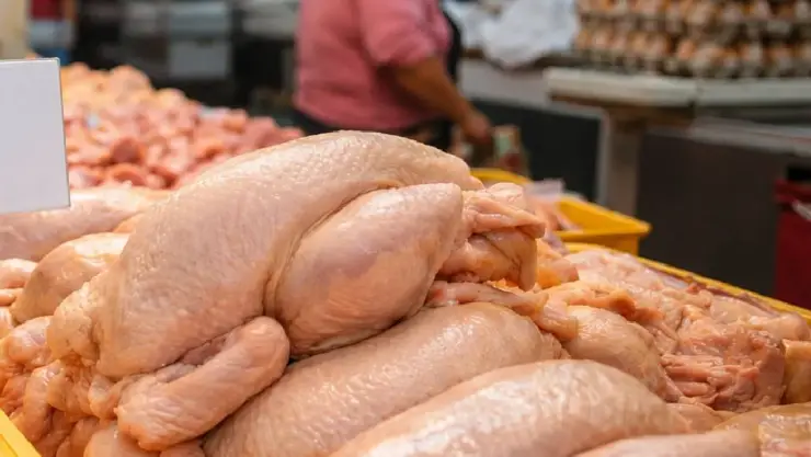 ¿Peligra el abasto de POLLO en la Península de Yucatán? Advierten riesgo por esta razón