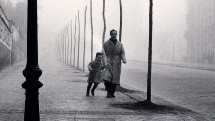 La sombra del viento