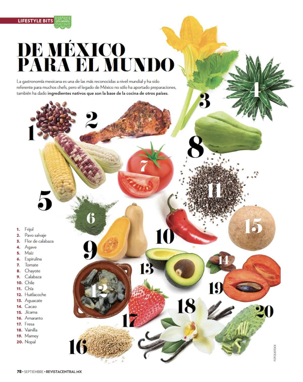 De México para el mundo: los ingredientes nativos que aportamos