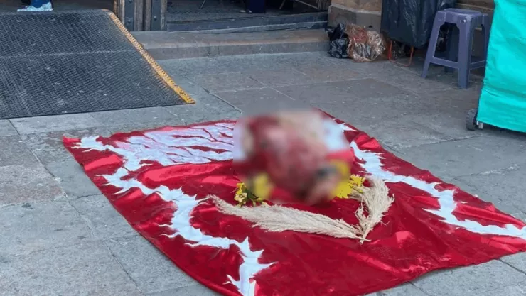 Localizan una cabeza de vaca en la Catedral de San Luis Potosí