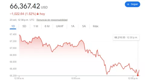 Precio del dólar hoy 23 de octubre 2024 en México: ¿Cuál es su última cotización?