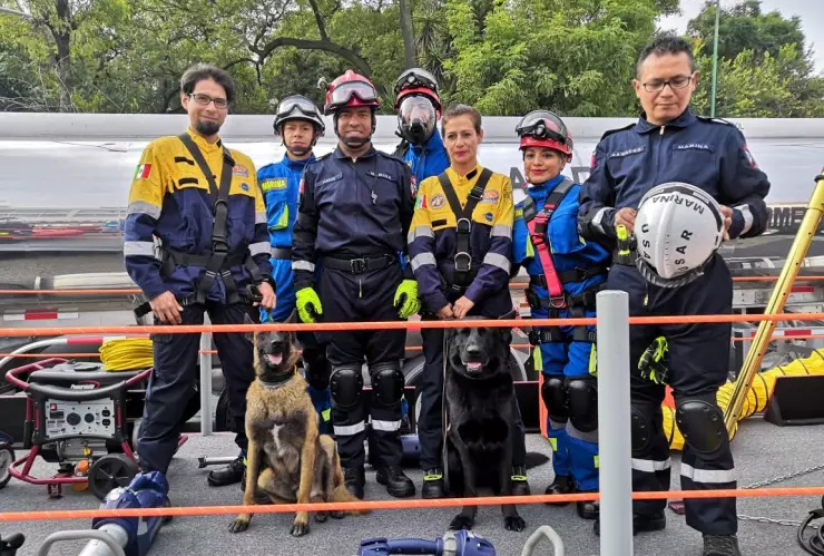 Unidad Canina de Búsqueda y Rescate de la UNAM participa por primera vez en el Desfile Militar 2019