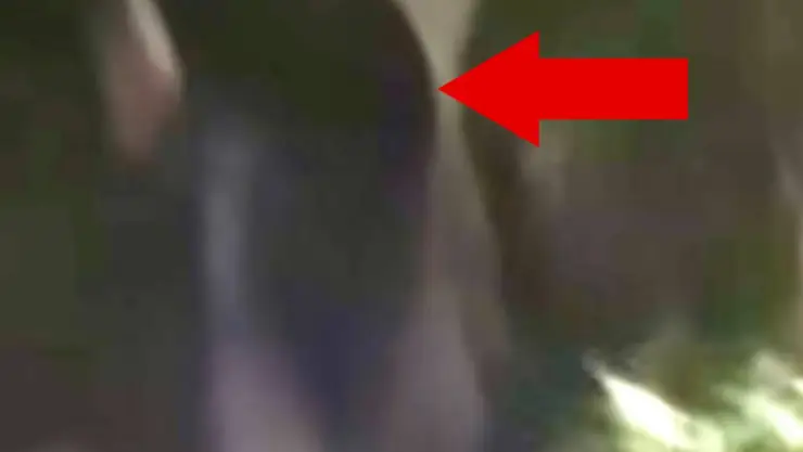 Captan fantasma en pueblo Mismebalam de Yucatán.