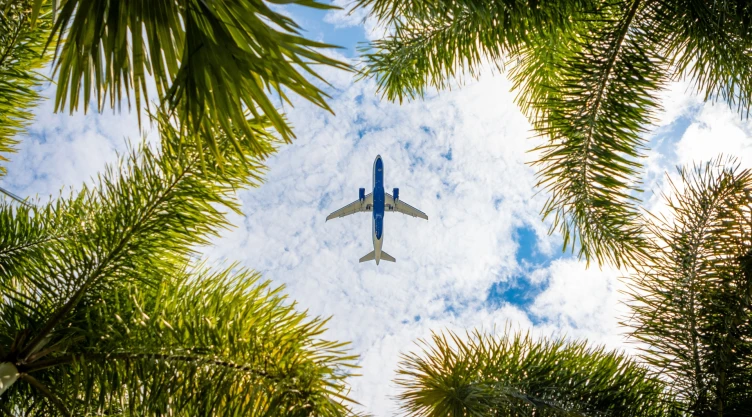 Un avión sobrevuela el cielo entre palmeras.