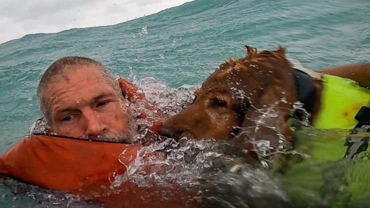 Rescate dramático en Florida, Guardia Costera salva a hombre y perro durante el huracán Helene