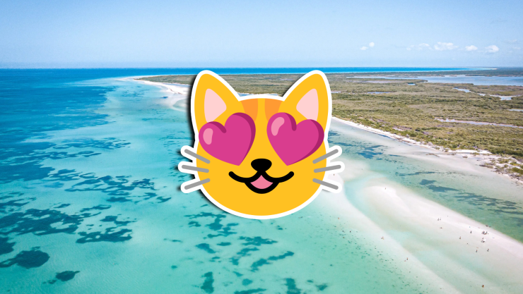 VIDEO_ ¡Isla paradisiaca! Así lucen las playas de Holbox HOY 19 de octubre de 2025.jpg
