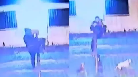 Perros frustran robo domiciliario