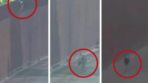 pollero-niña-muro (1).jpg