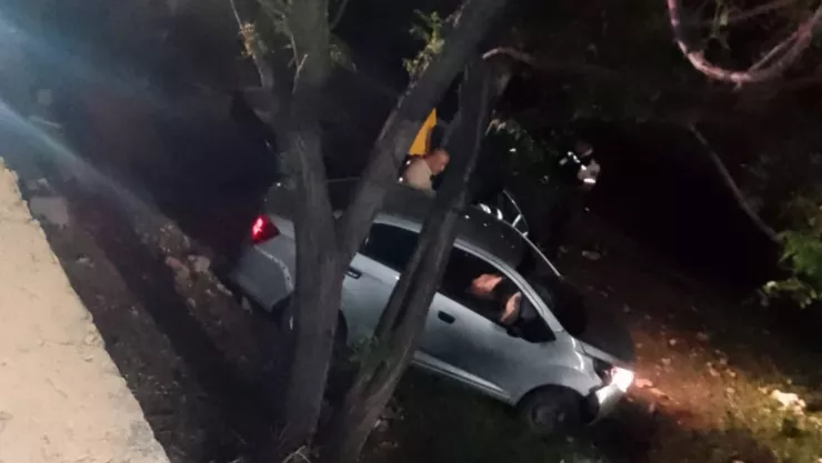 Conductor cae al Malecón del Río, en León